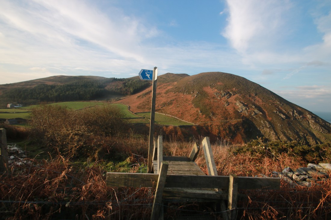 10752701136_IMG_2298