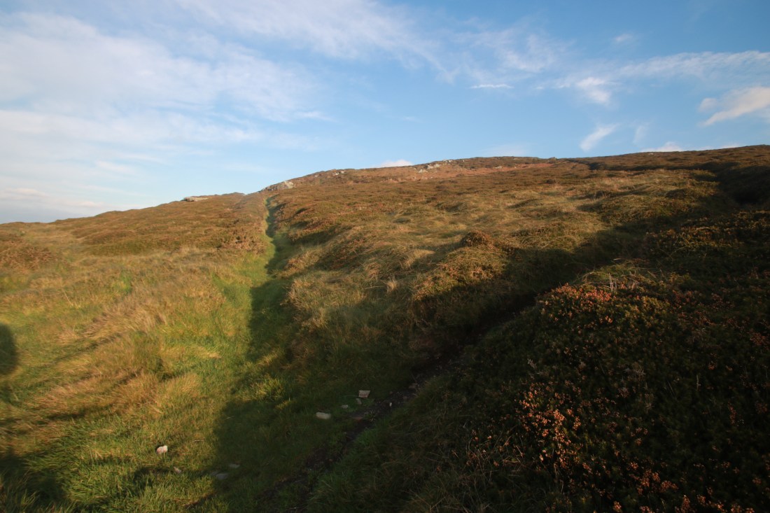 10752719632_IMG_2305