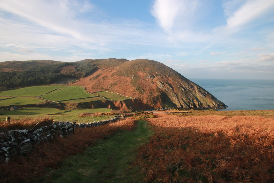 10752797568_IMG_2299