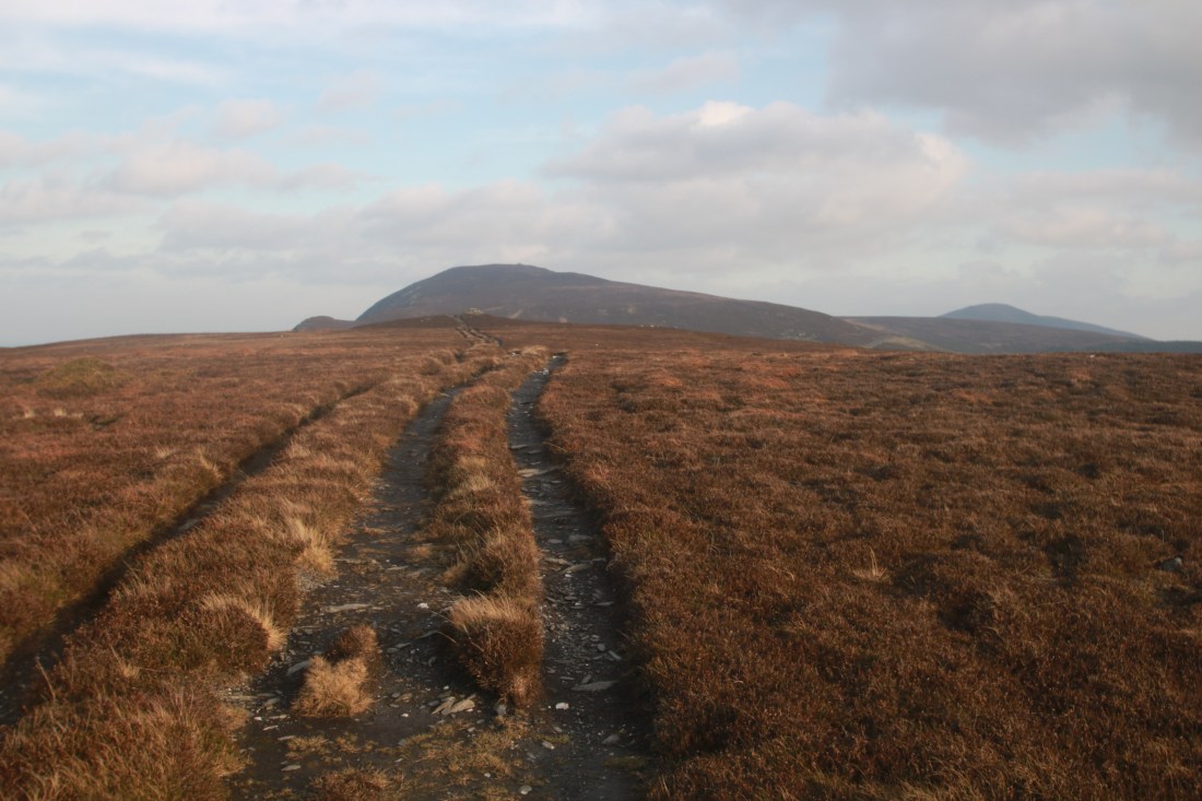 10753683552_IMG_2336