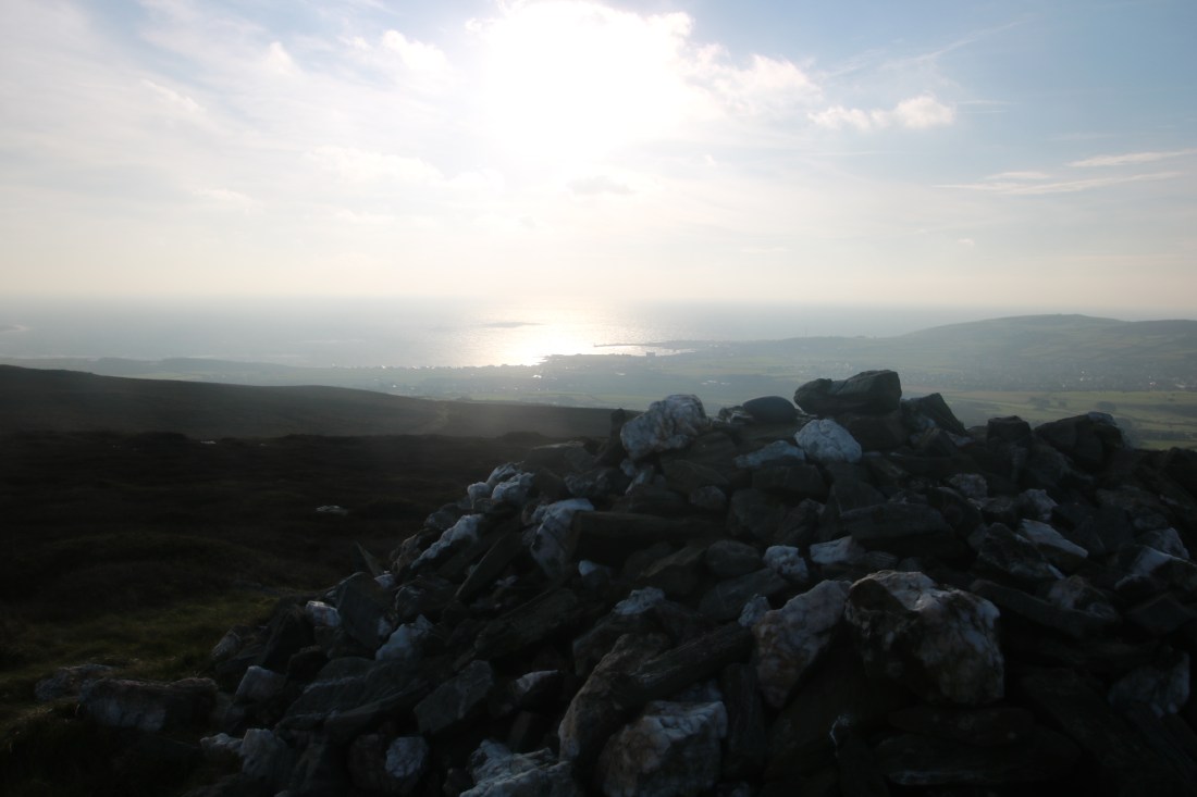 10753715312_IMG_2369