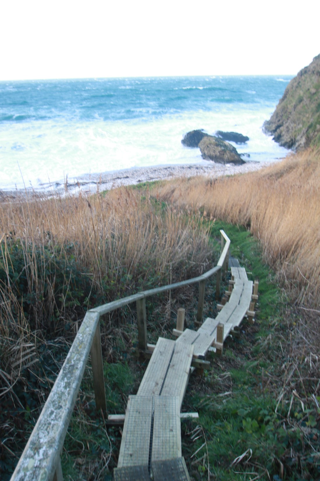 10756777536_IMG_2179