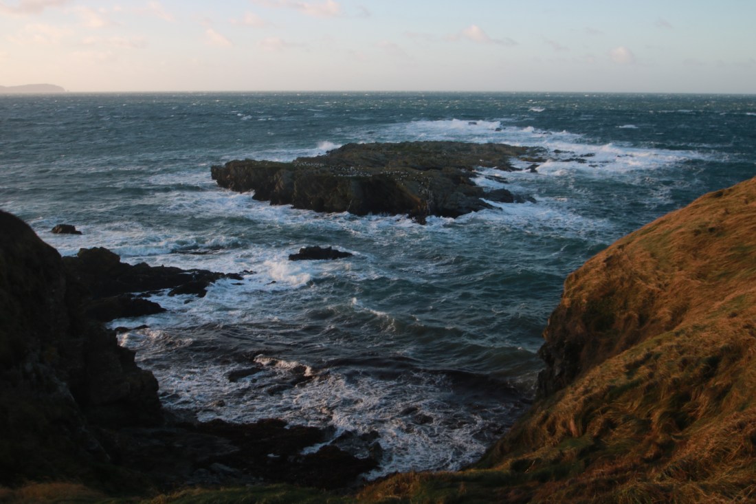 10757076912_IMG_2145