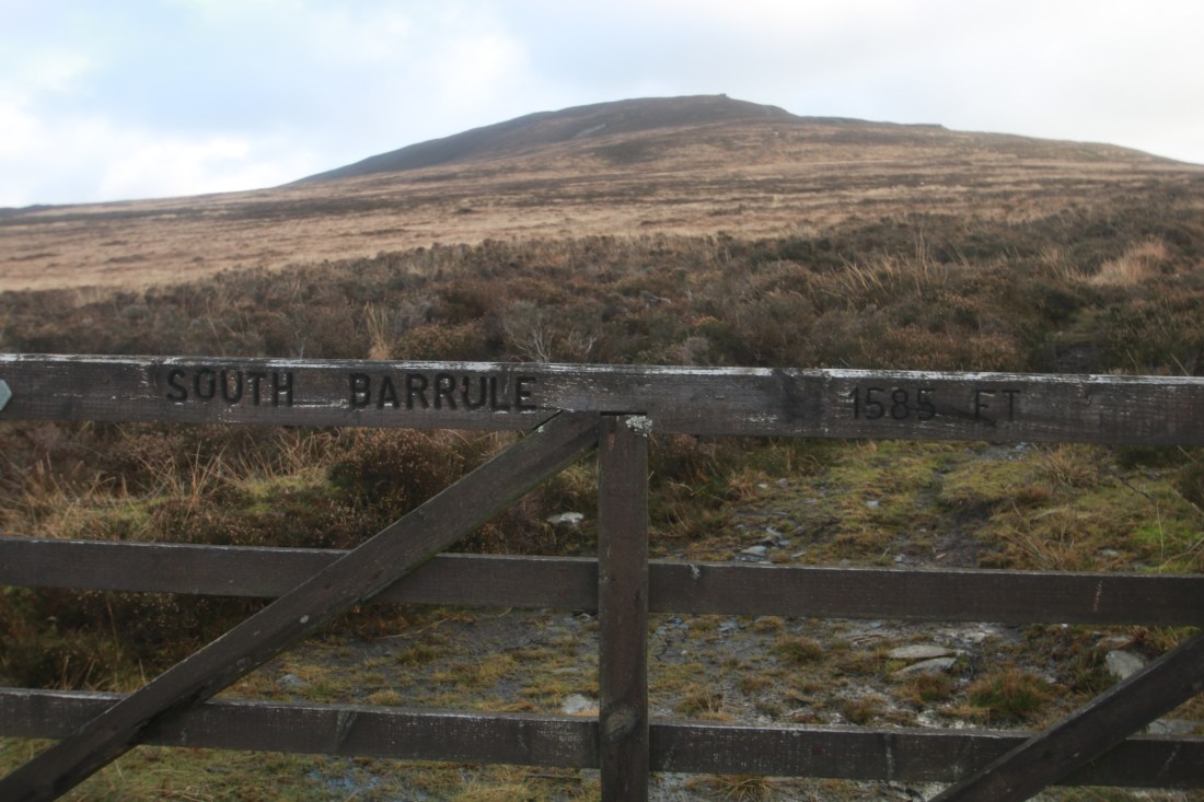 10757624176_IMG_2267